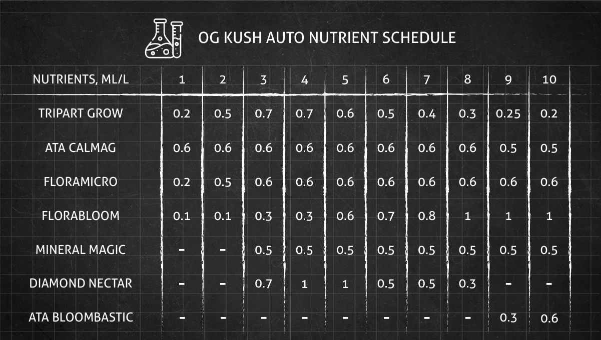 OG Kush Auto cannabis strain: feeding chart for the vegetative and flowering stages
