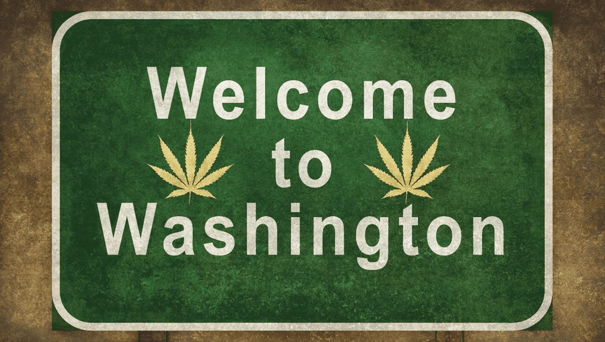 Plants in washington: history and politics