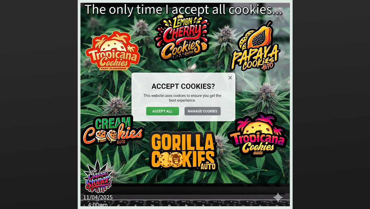 Pobjednički meme koji slavi suštinu Cookies genetske varijante cannabisa.