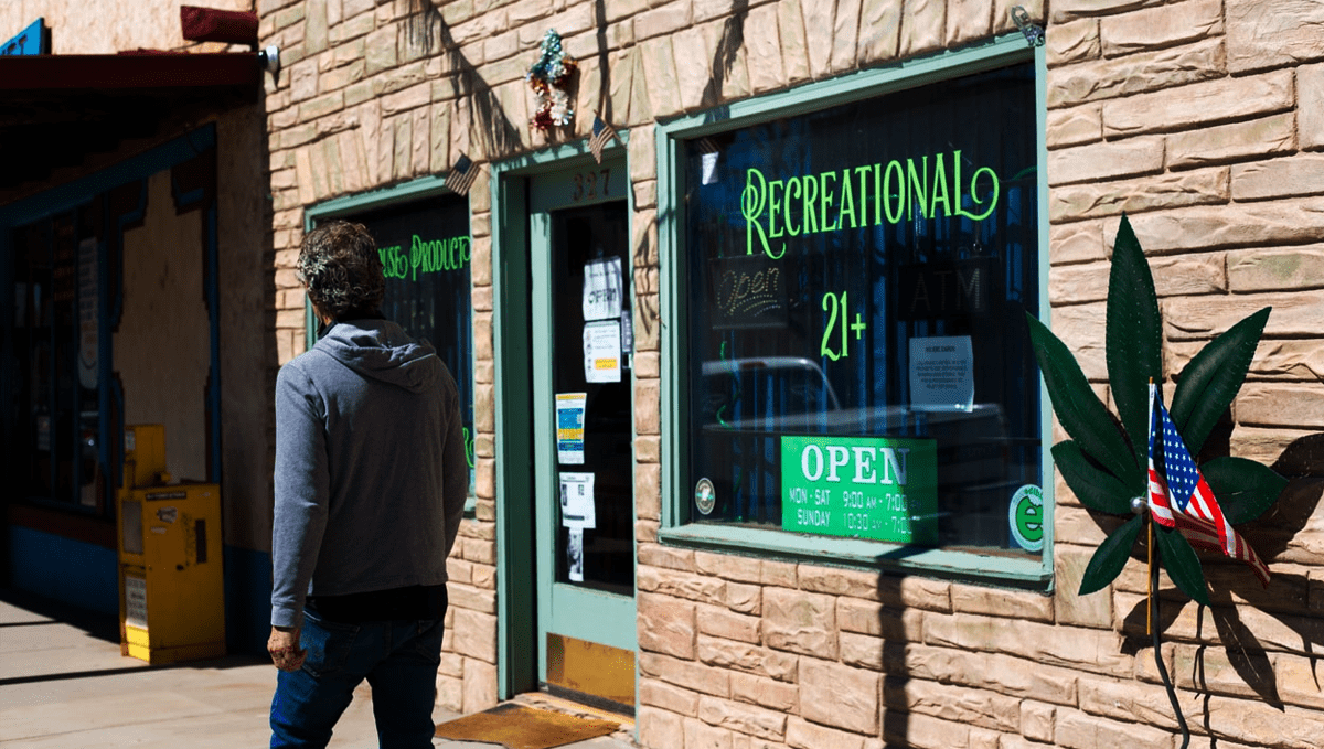 Plants in washington: sale