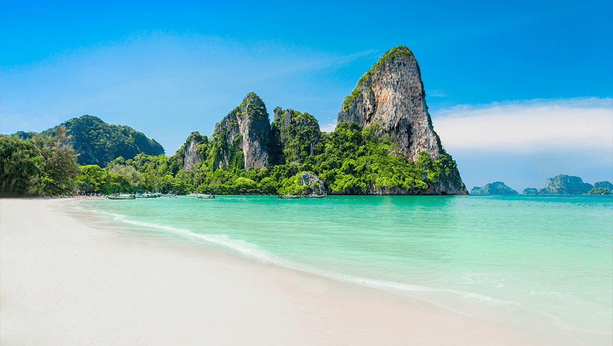 Plants in thailand: history and politics