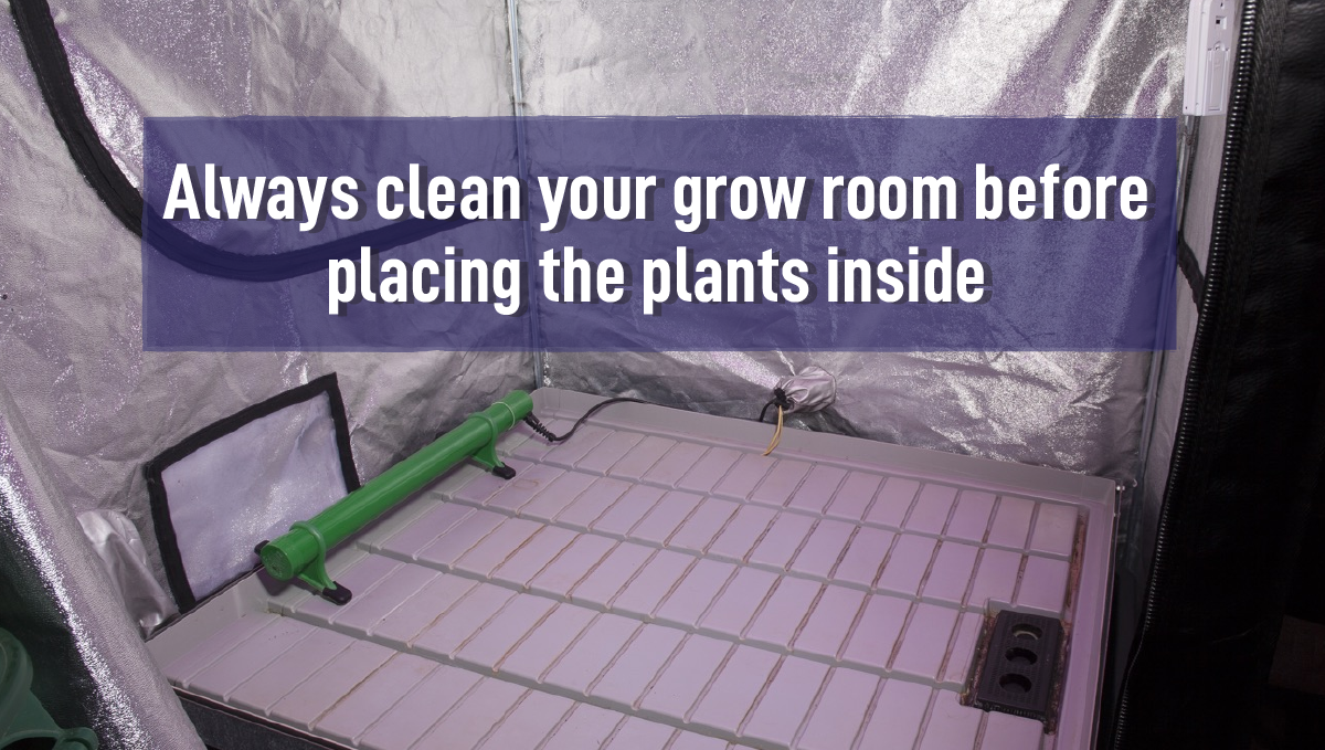 Top sanitation tips: when to clean