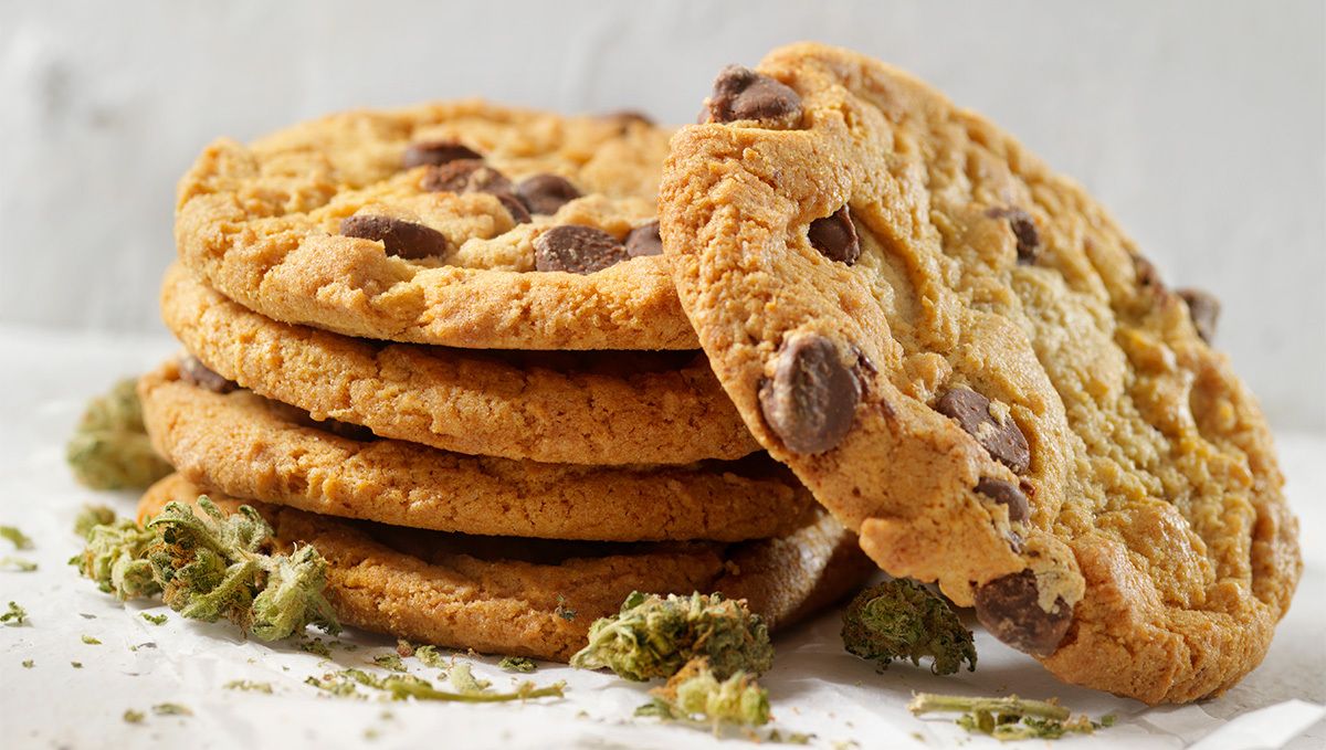 How to make plants sugar: double chocolate cookies