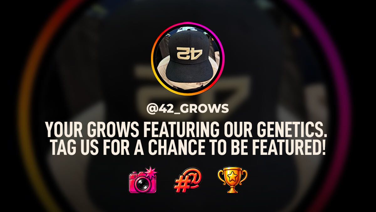 Fast Buds op Instagram
