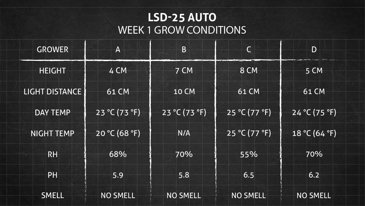 LSD-25 오토 대마초 스트레인: 1주차 재배 조건