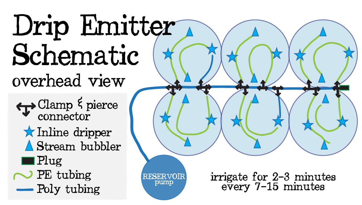 Automatic Drip Irrigation Setup for Indoor Cannabis Grow: Drip emmiter infographic