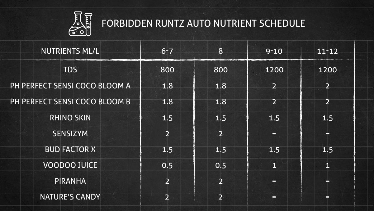 Forbidden Runtz Auto 대마 스트레인 주차별 가이드: 개화기용 GHE 피딩 스케줄 part 1