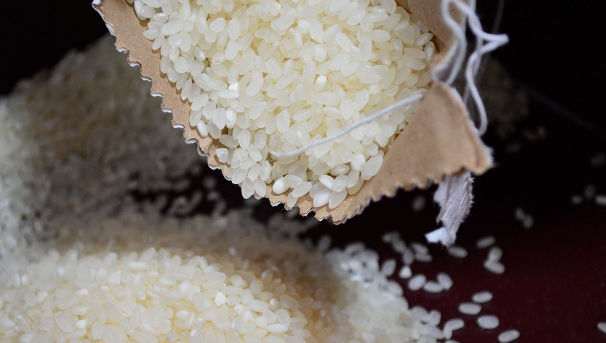 What to Do if Your Plants Stash Gets Wet?: rice