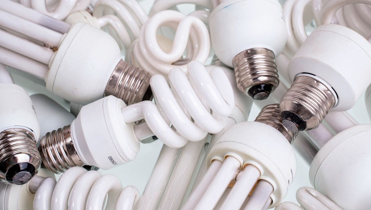 Wie man Auto Plants drinnen anbaut: CFLs