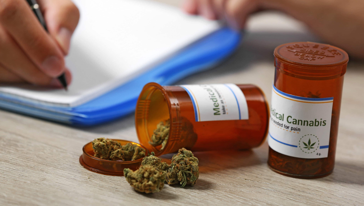 Ireland&rsquo;s Medical Plants Access Program Sabotaged by Doctors: Dried flowers of medical plants prescribed for pain