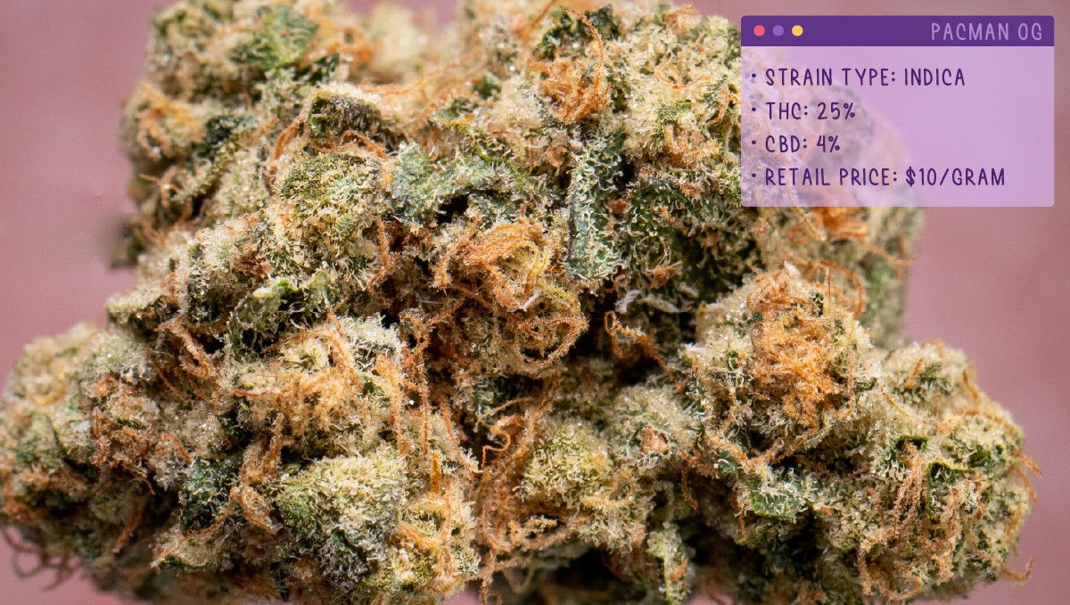 22 Beste Weed Sorten zum Probieren 2022: Pacman OG