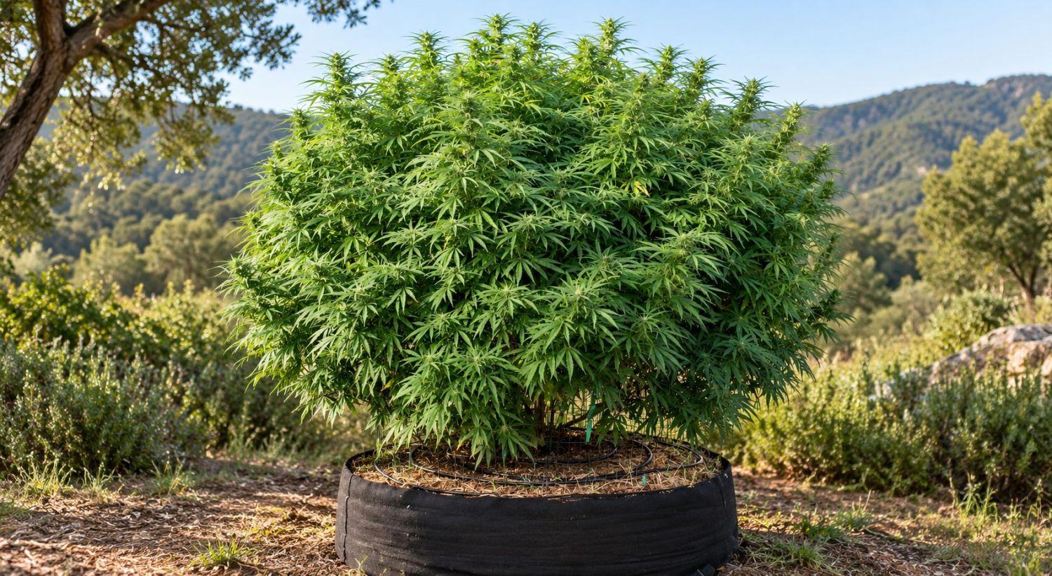 9 time-saving tips: bigger containers
