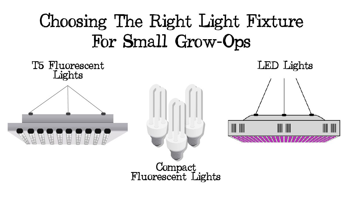 Grow small plants plants in tiny spaces: the correct light fixture