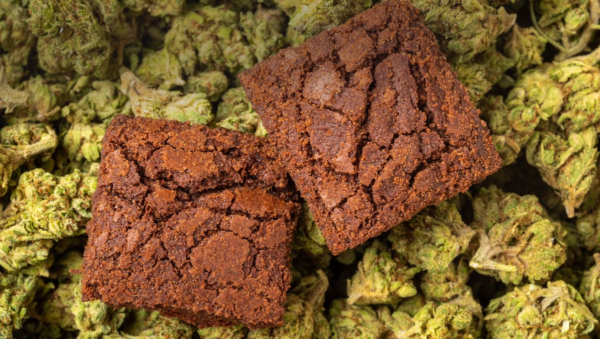 Beprotiškiausio dydžio spacecake/žolės brownie