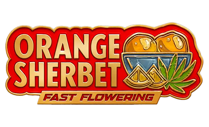 Orange Sherbet FF Logo