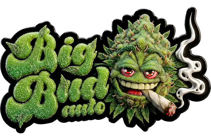 Big Bud Auto Logo