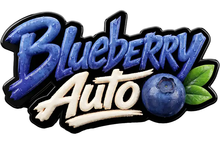 Blueberry Auto Logo