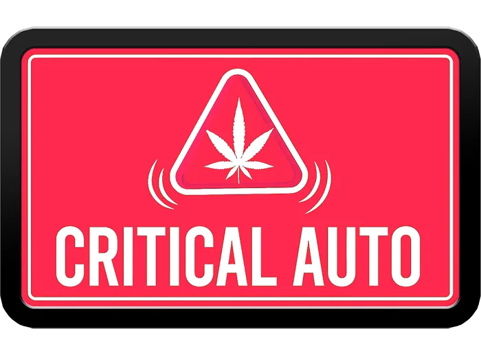 Critical Auto Logo