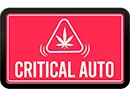 Critical Auto logotype