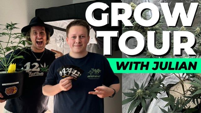 Grow Tour EP 2 | Fast Buds visits Julians Grow in Hamburg | Auto