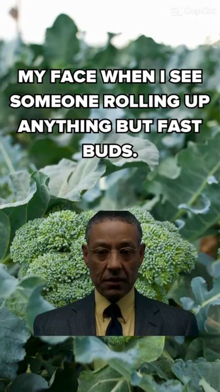 Fast Buds Meme - When Someone Rolls Up Anything Else