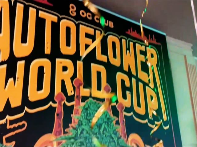 AWC 2022 - Auto World Cup Event Recap