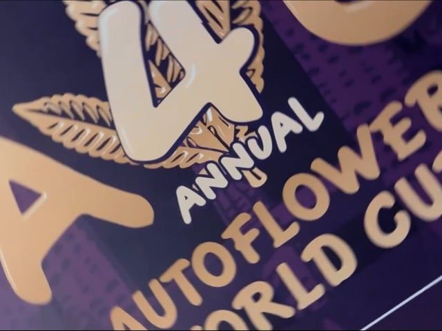 AWC 2024 - 4th Annual Auto World Cup Highlights
