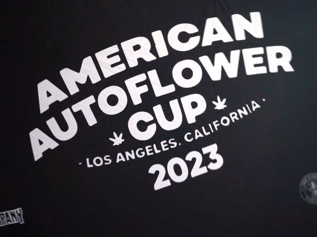 American Auto Cup 2023 Los Angeles - Fast Buds Highlights