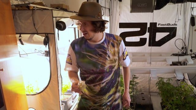 Das Geheimnis für Next-Level Dry Sift Extractions | So machst du dein eigenes