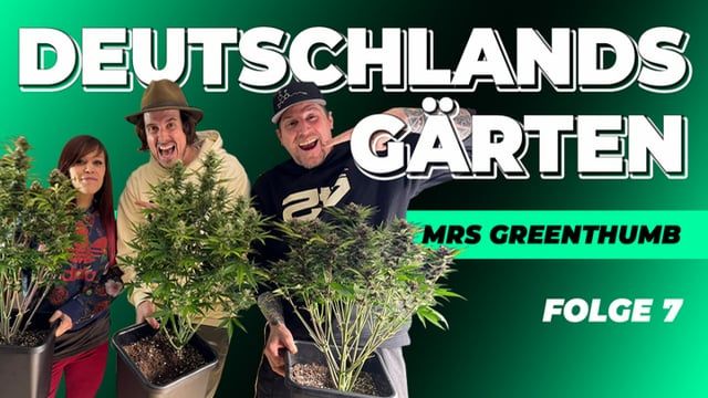 Homegrow Report Ep. 6 - German Home Grower Shows His Plants