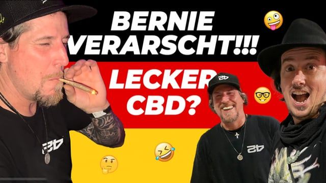 Bernie Verarsche! Lecker Extract