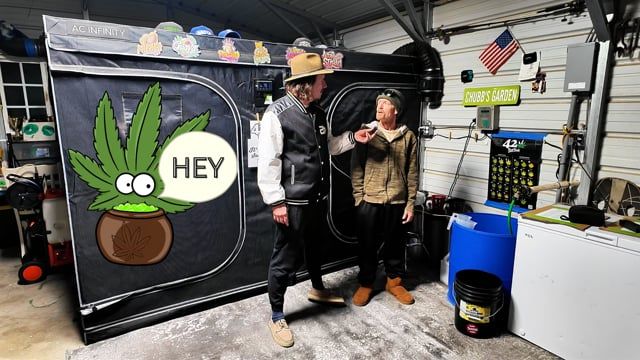Visiting Chubbs at Home - Inside His Fast Buds Grow Room