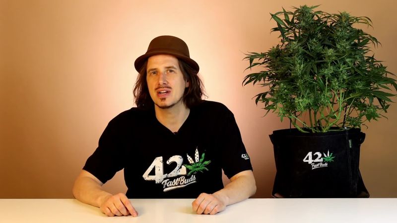 Kosher Cake Auto Seed Report Old
