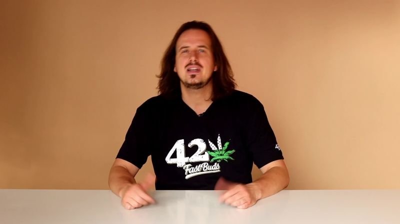 Strawberry Pie Auto Seed Report Old