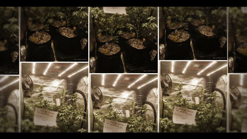 Community Photo Poll Results - Which Grow Got the Most Votes?