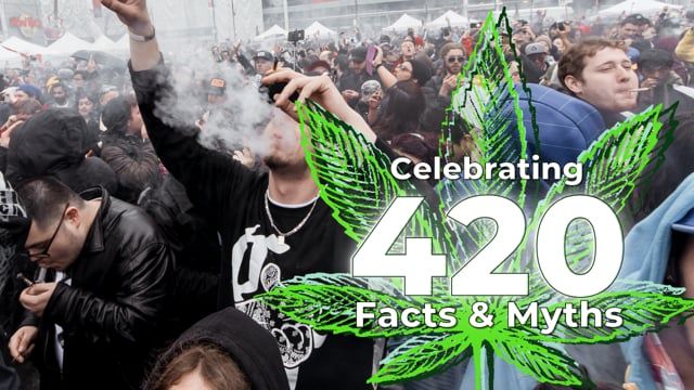 Celebrating 420 - Facts & Myths about National Plants Day