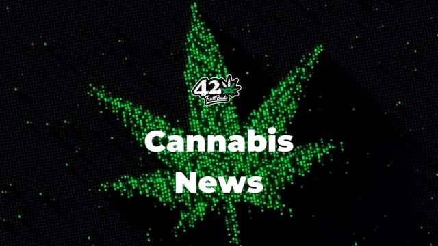 Plants News - August 2021