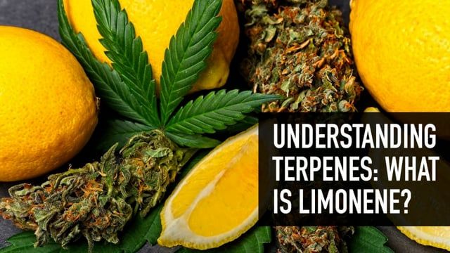 Understanding Flavor: What is Limonene?