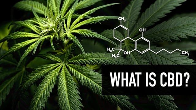 What Is Extract? - Cannabidiol Explained in Simple Terms