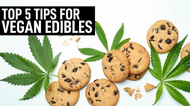 Top 5 Tips for Vegan Edibles | How to cook with Plants