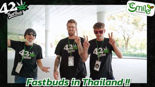 Fast Buds in Thailand - Team Trip Highlights