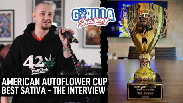 How to grow Cup Winning Plants - AAC Winner Freegrow8 | Fast Buds