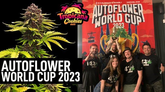 Auto World Cup 2023 - Tropicana Cookies Auto Takes First Place