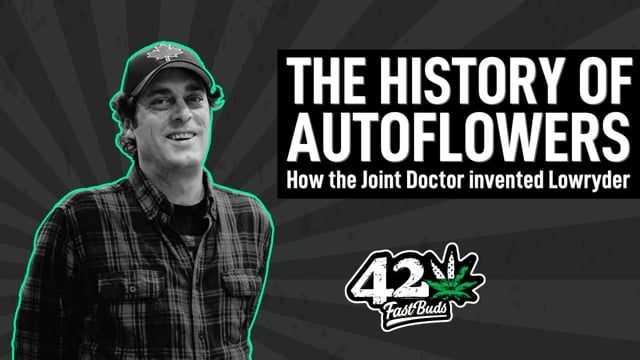 The history of Autos: How the Joint Doctor created Lowryder