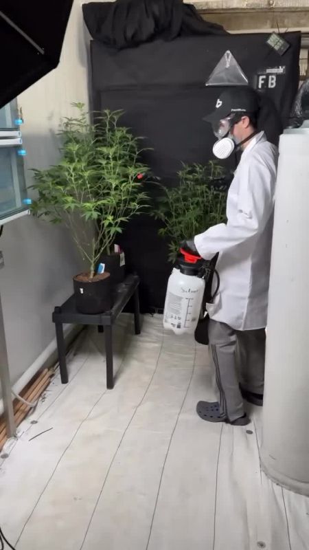 Applying STS to induce strong artificial stress