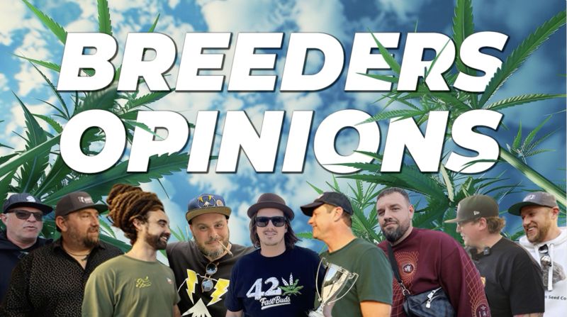 Breeders Opinions - Quick Chat with World-Renowned Plants Breeders