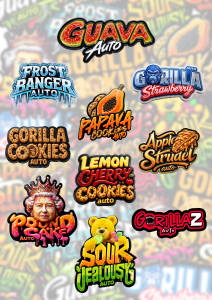 Mix Pack Auto