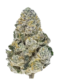 Lemonpaya™