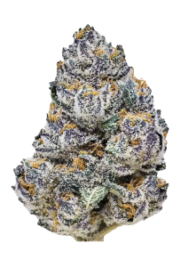 Rainbow Melon
