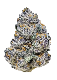 Rainbow Melon™